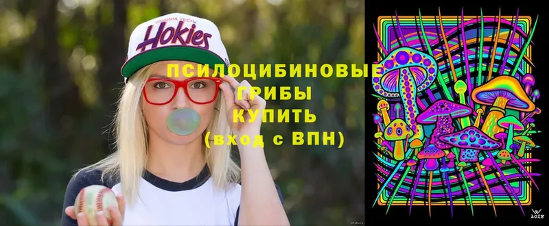 Псилоцибиновые грибы MAGIC MUSHROOMS  блэк спрут ссылка  Кораблино 